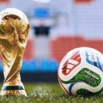 Miércoles de “bajón”: Tras 28 días de juegos hoy no hay Mundial🎦