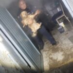 Auxilia Policía Municipal a adulta mayor y rescatan a perro durante incendio en casa habitación